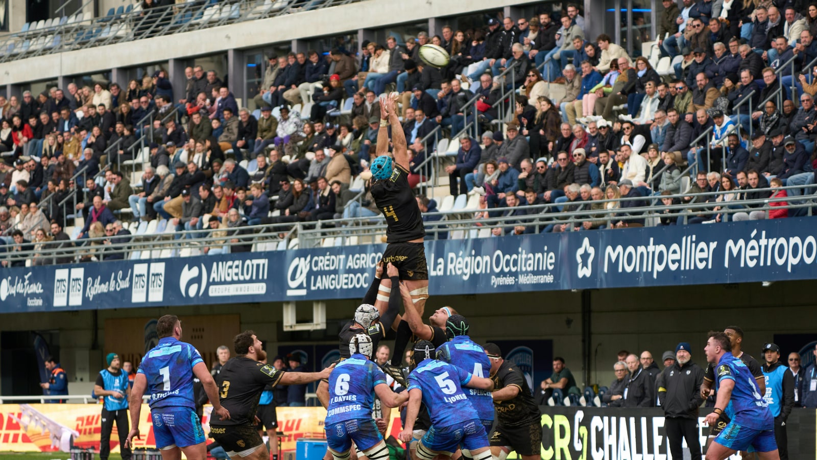 Who was the winner of the 2015 Rugby World Cup?