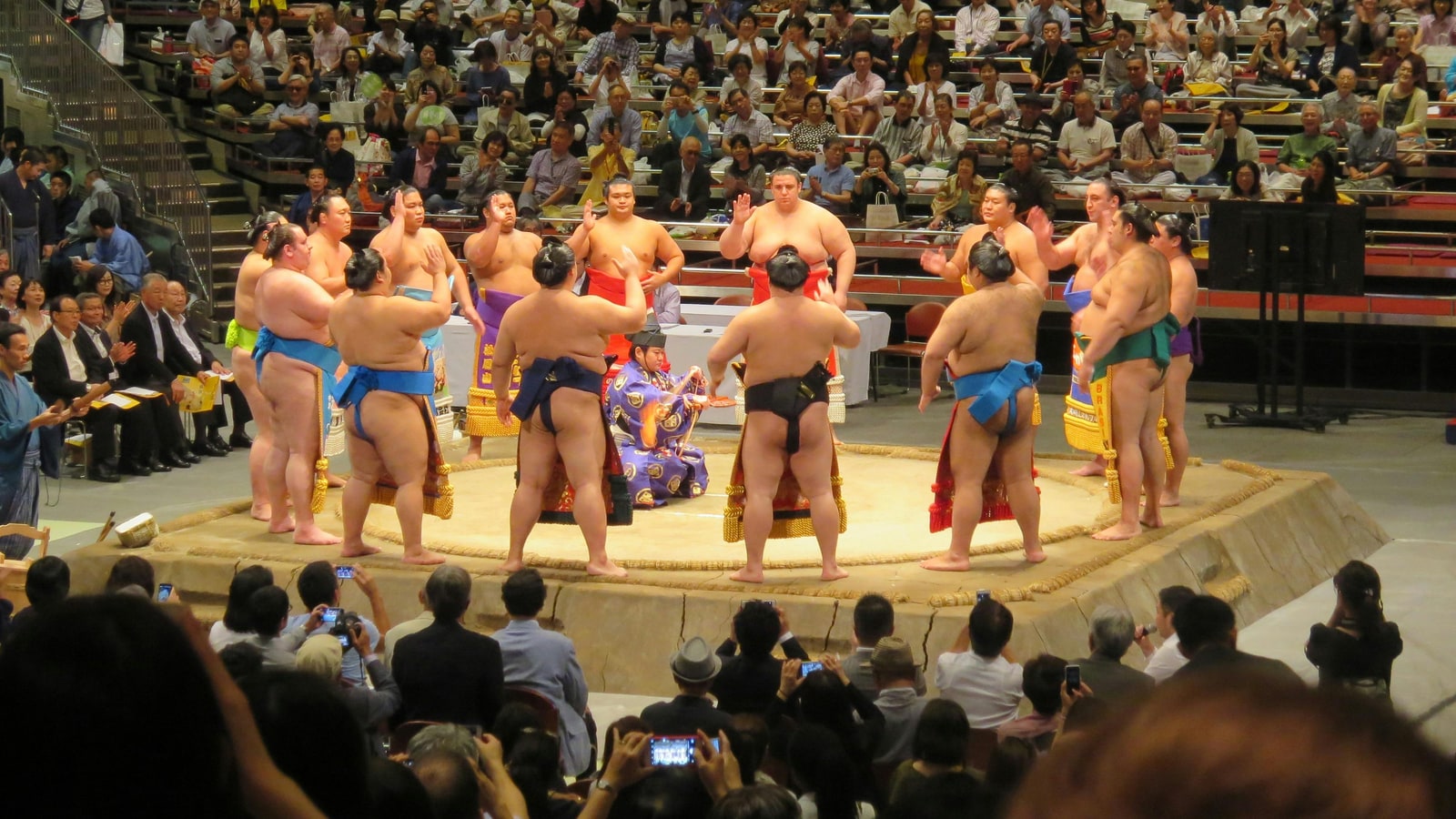 Why do sumo wrestlers get so fat?