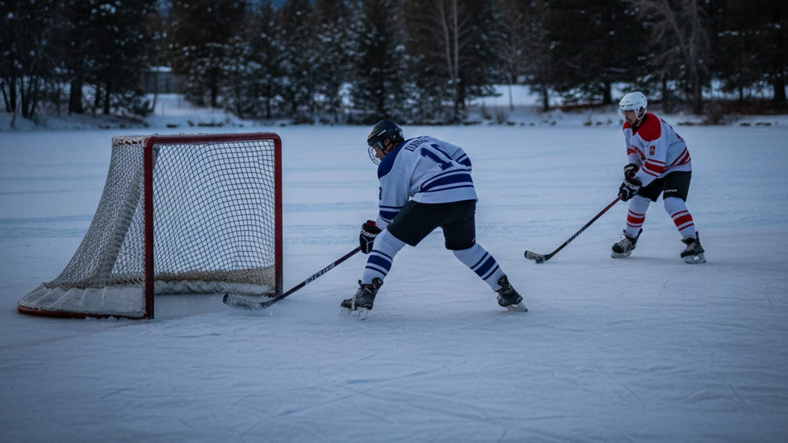 What is the most popular shot in hockey?