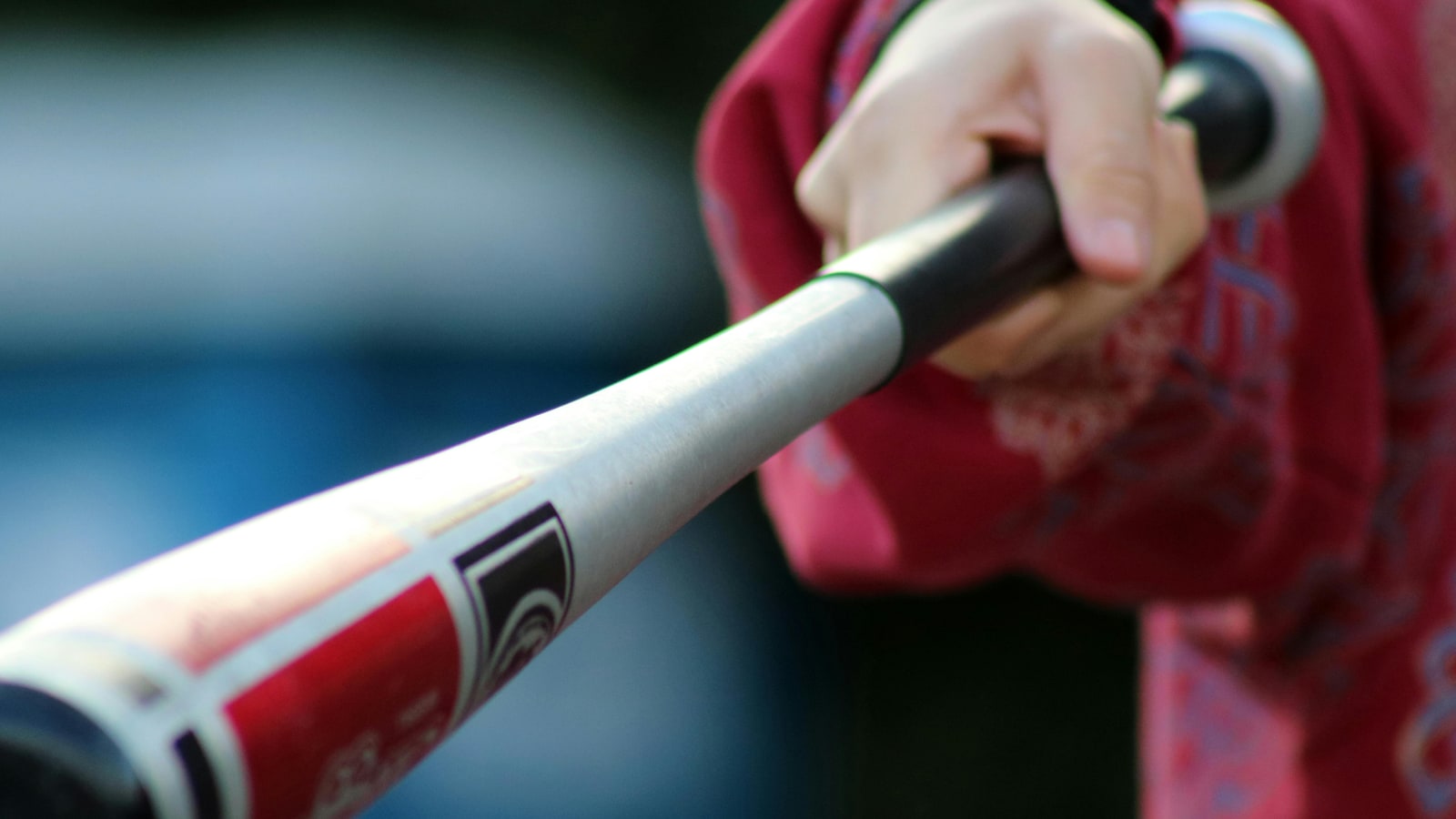 Which bat is best for hardball?