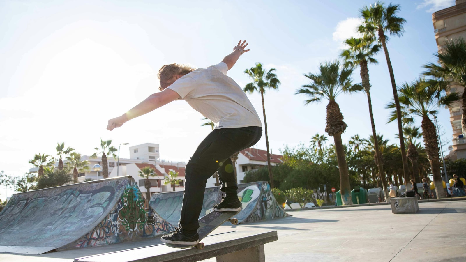 Which is the best brand of skateboard to buy?