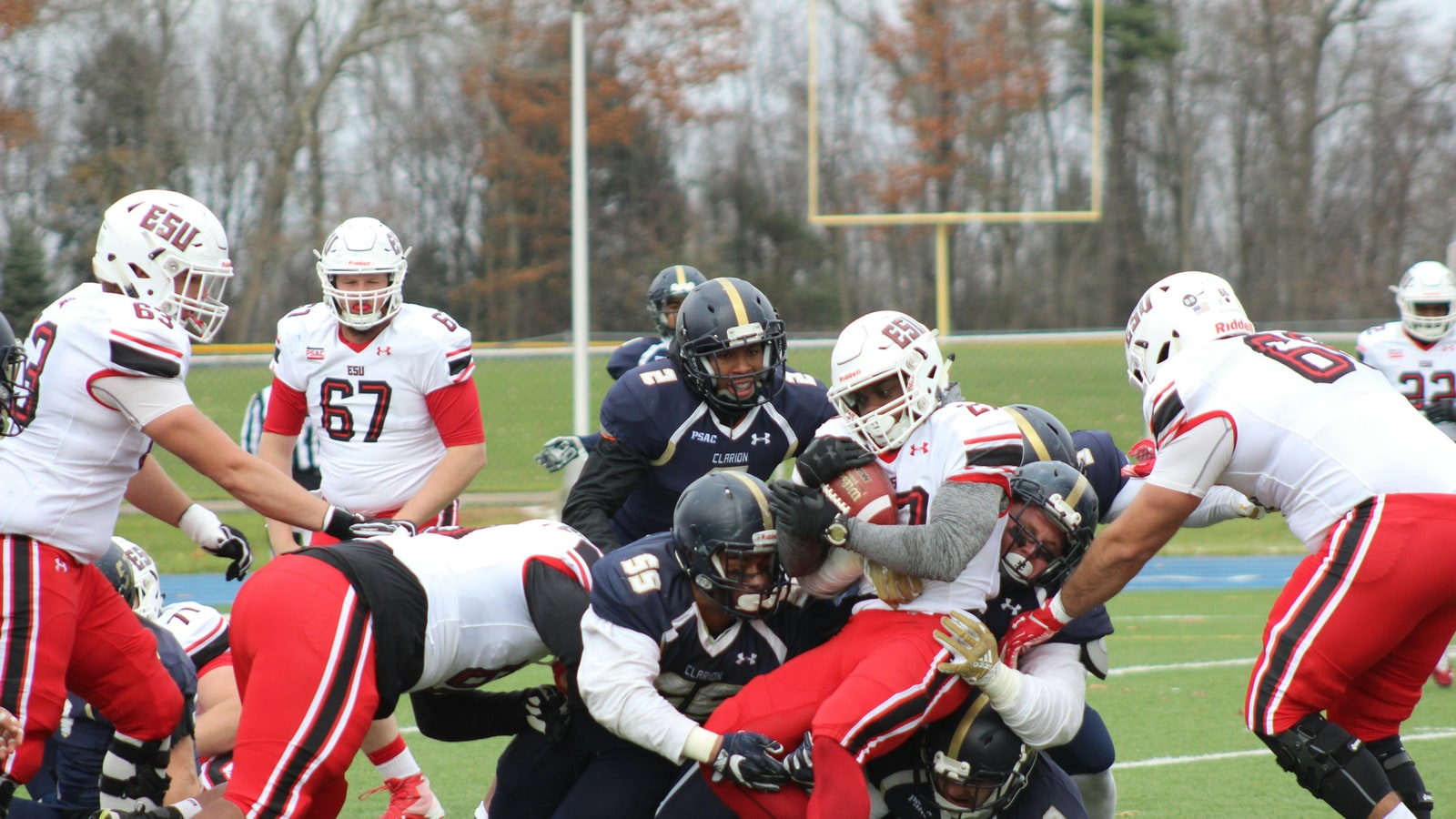 Where did Darnell Dockett play college football?