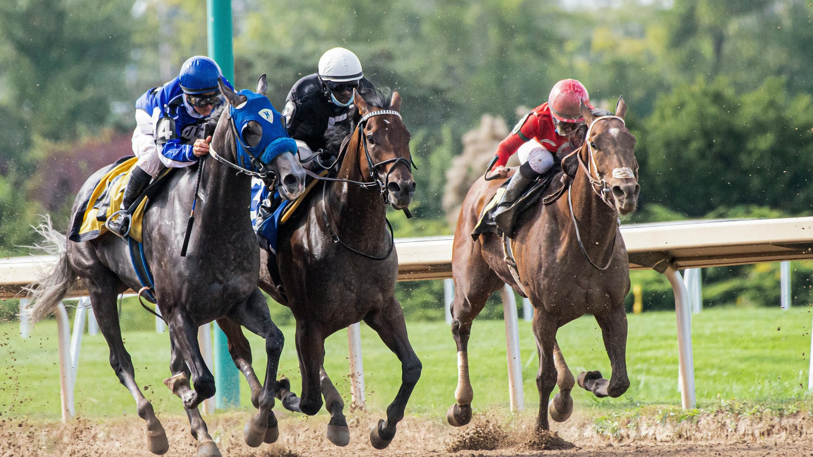 Why do jockeys whip the horses?