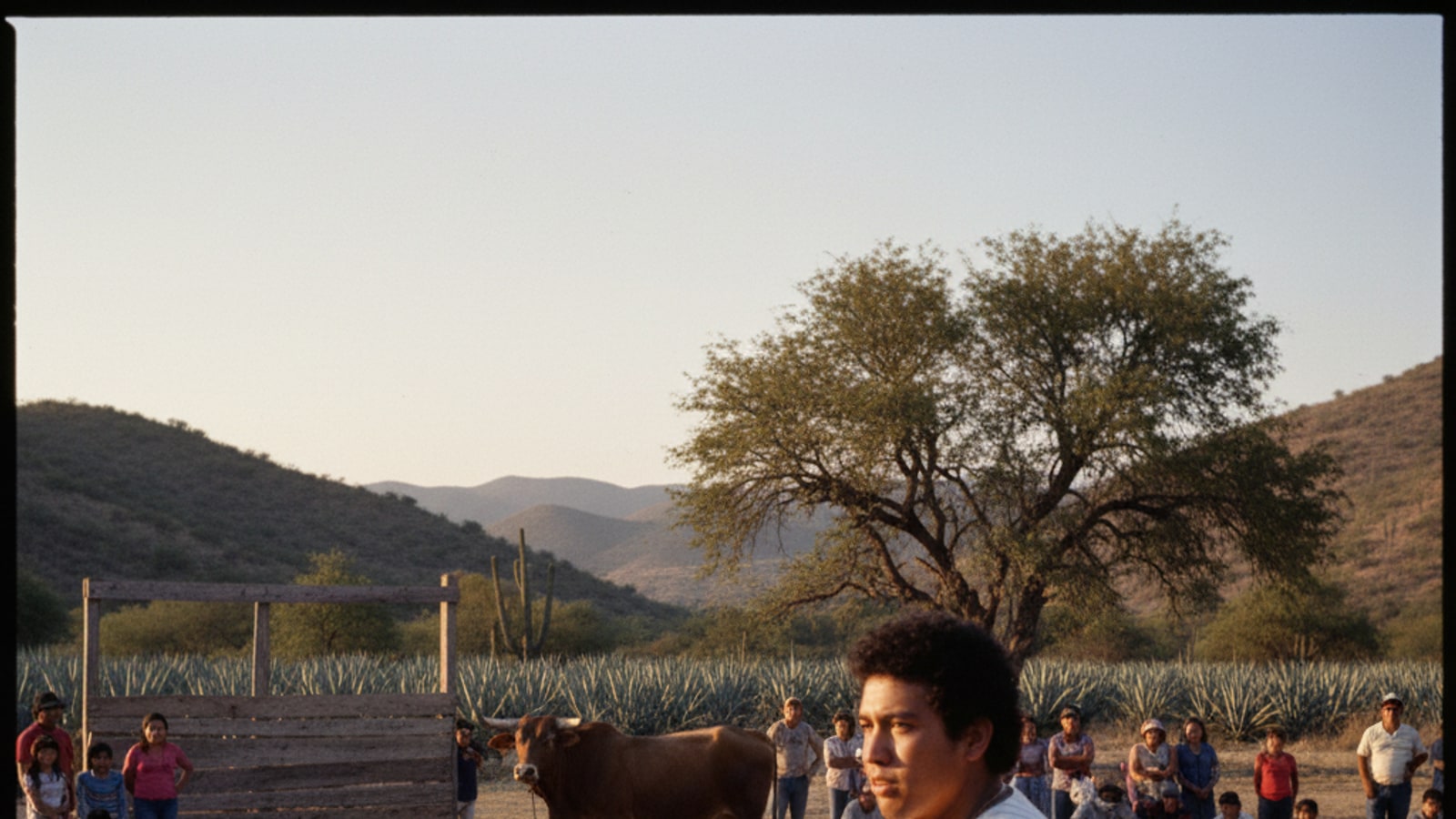When did Fernando Valenzuela start for El Toro?