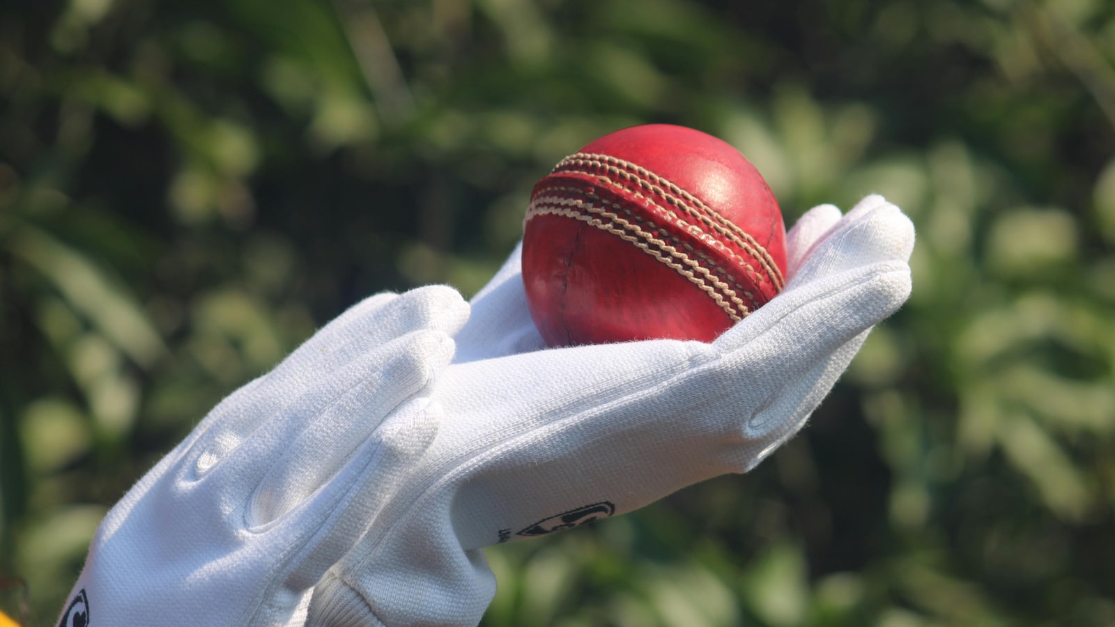 Who has made the most runs in Test cricket?