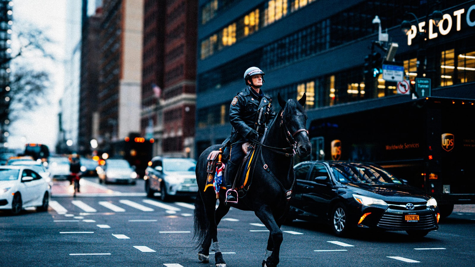 Where do they keep the horses in NYC?