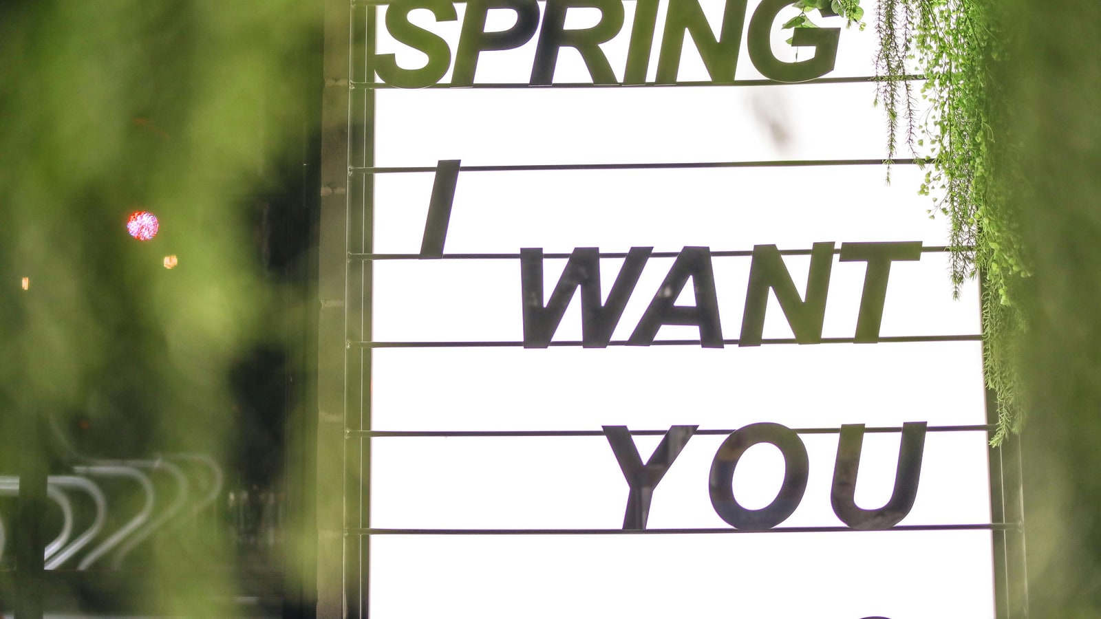 Why do you want to be a skateboarder?