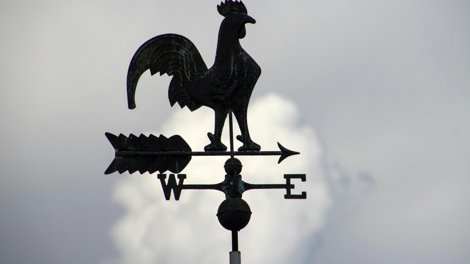 Which arrow vanes are the best?