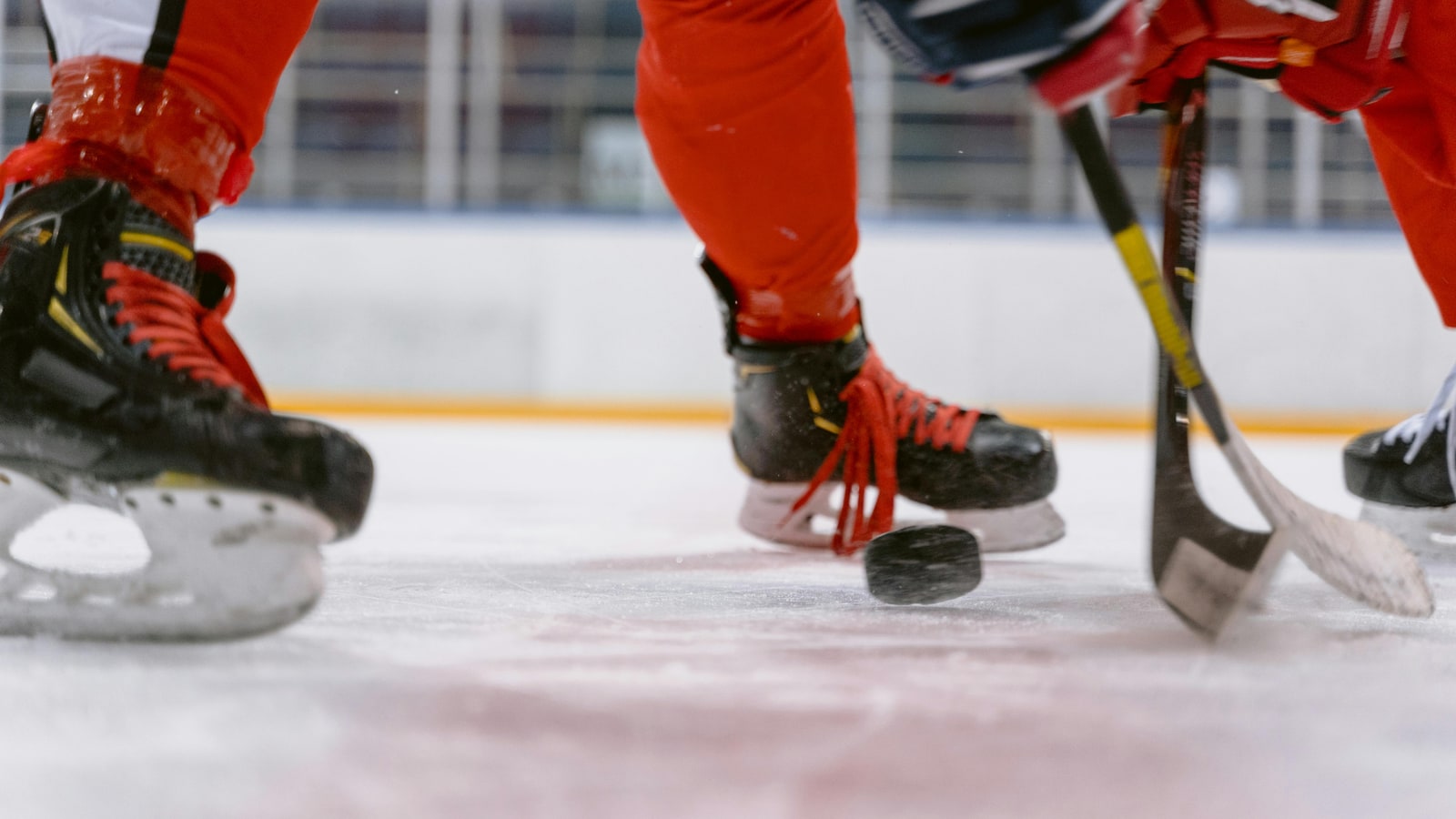 Who was the gold medalist in ice hockey in 2002?