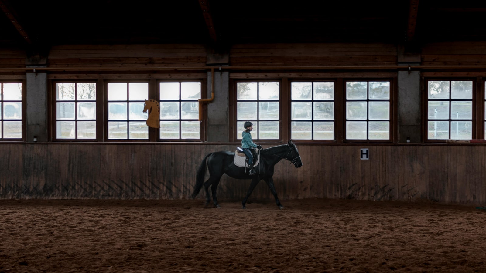 When passing a horse and rider, should you?
