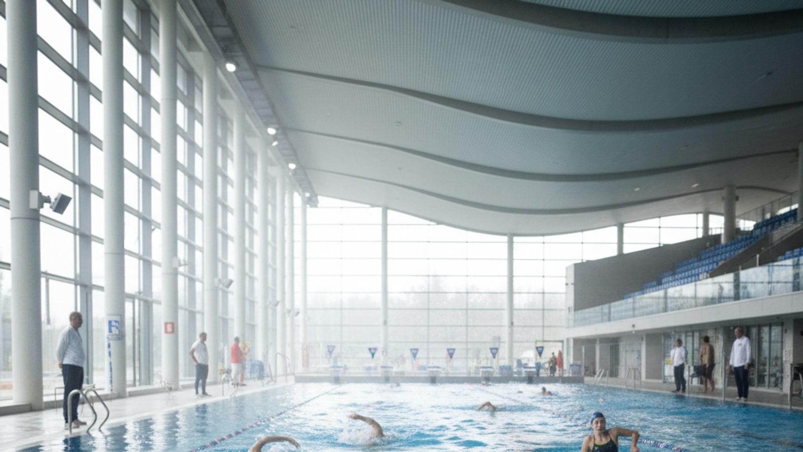 Do Olympic swimmers pee in pools?