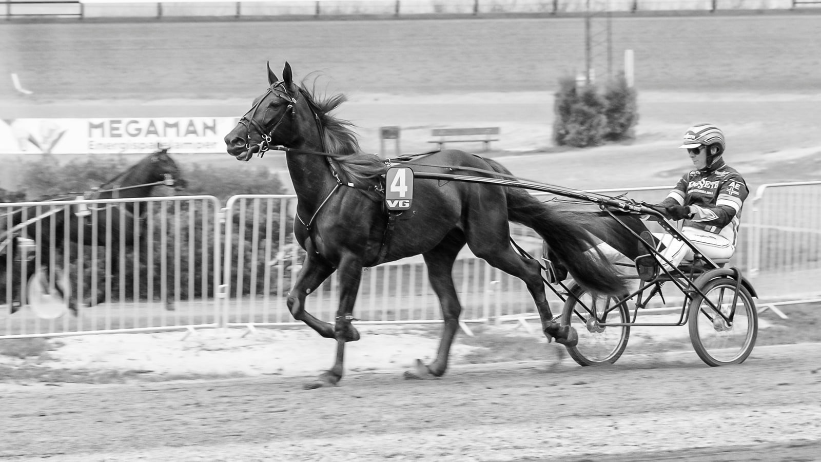 Which is the most valuable horse race in the world?