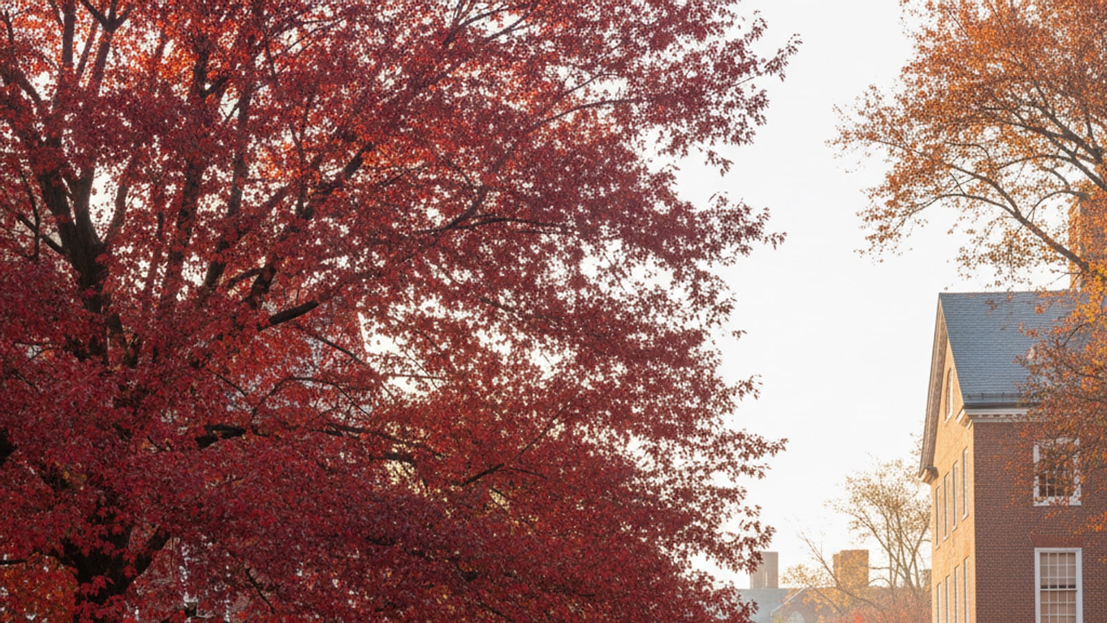 What are the school colors for Harvard University?
