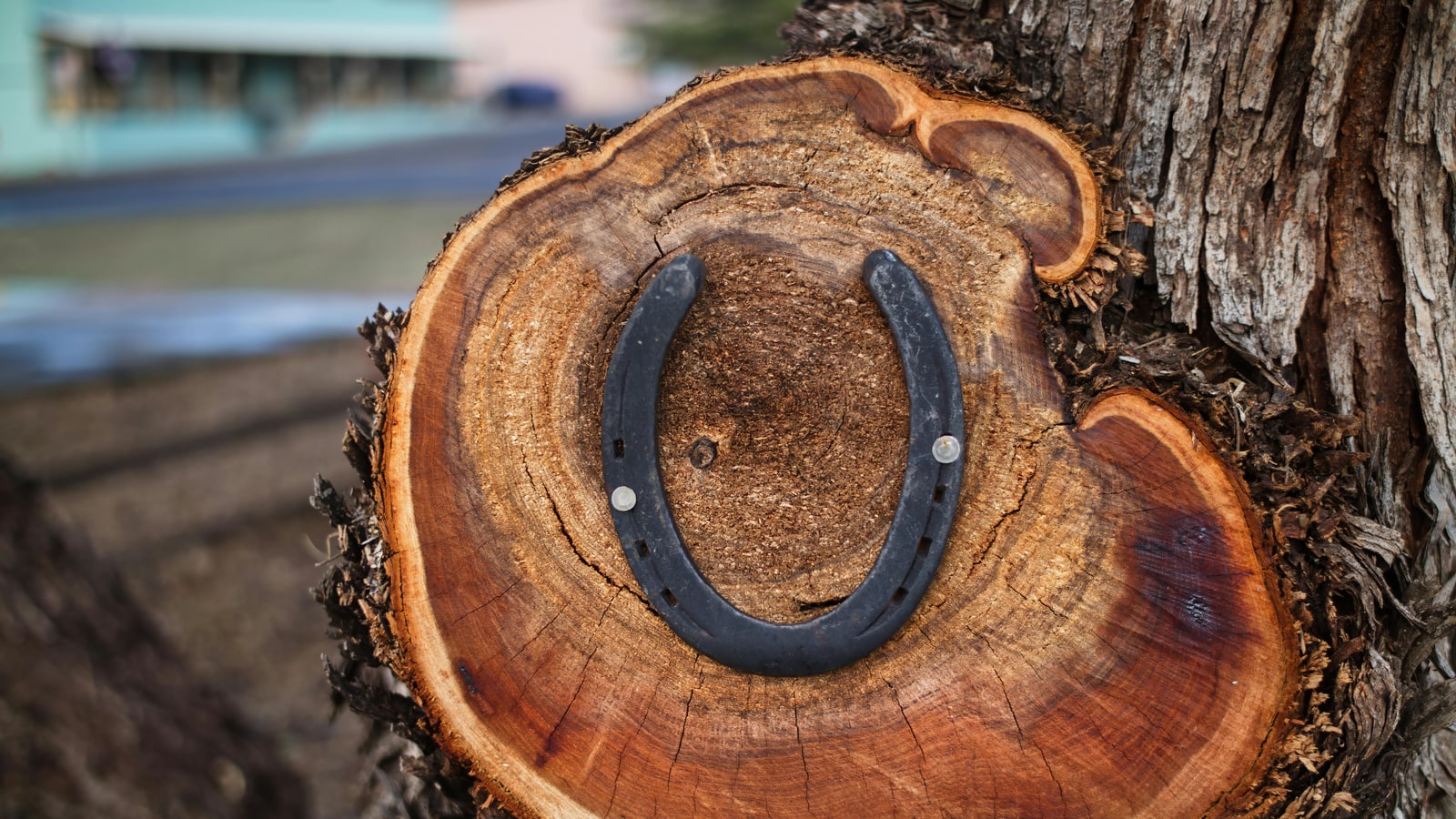 Which way should a horseshoe ring face?