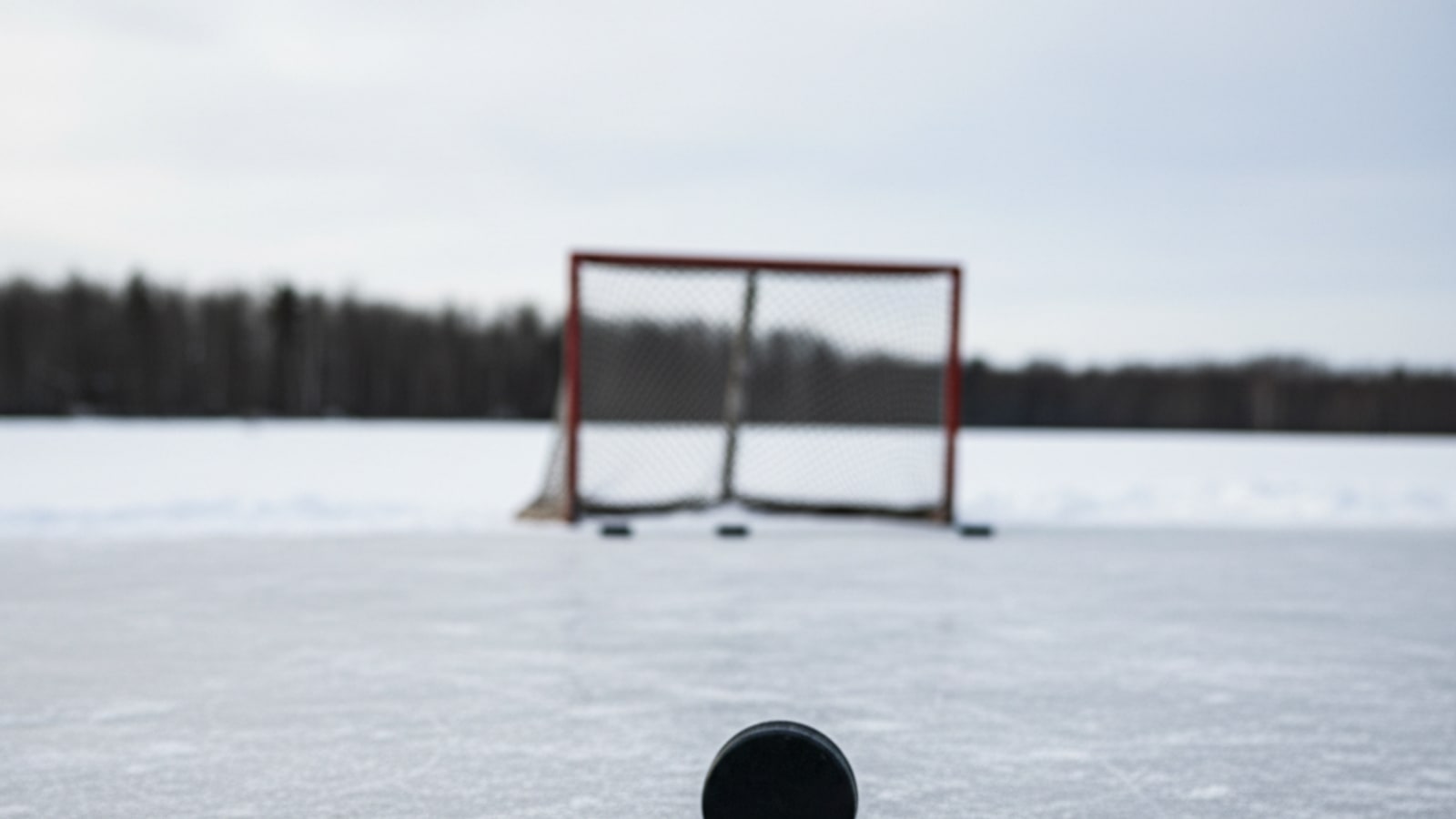 What are the different types of hockey pucks?