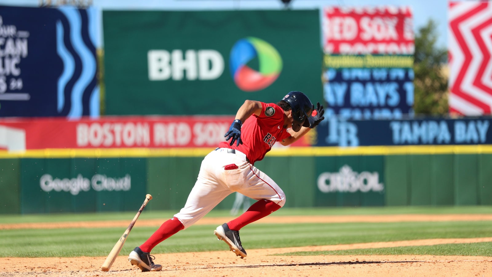 Which baseball player has the most career home runs?