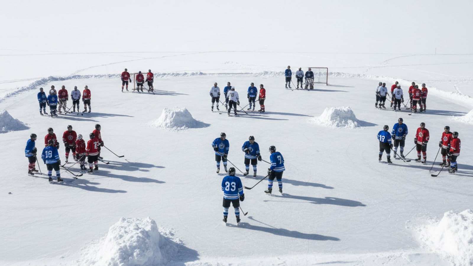 How many teams are there in the NHL?