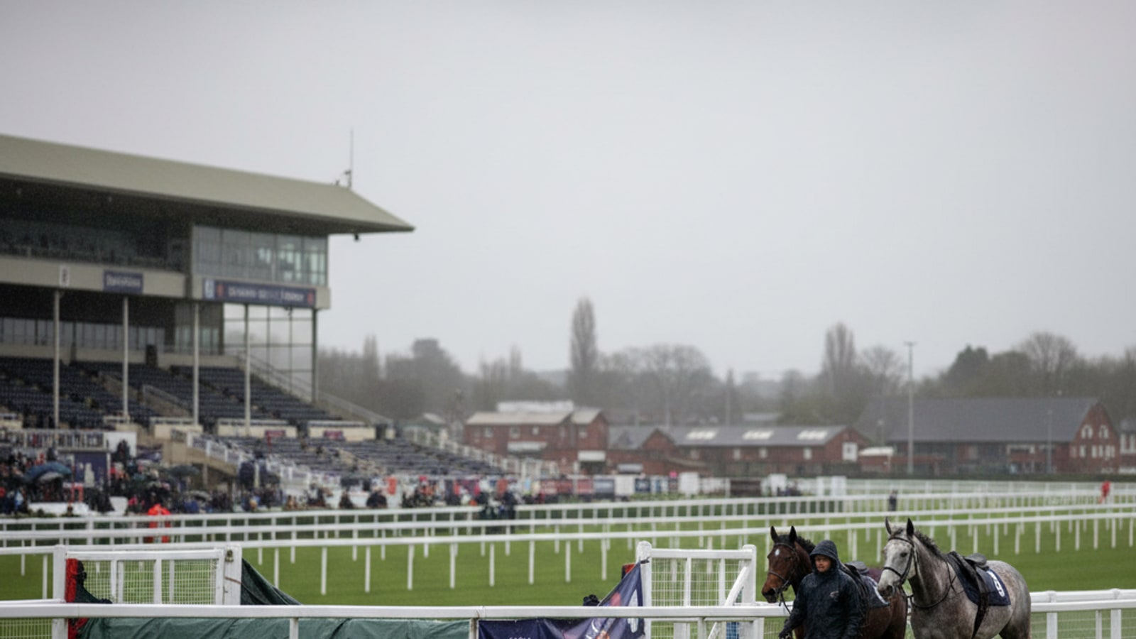 What happened to all the horses in the Grand National 2021?