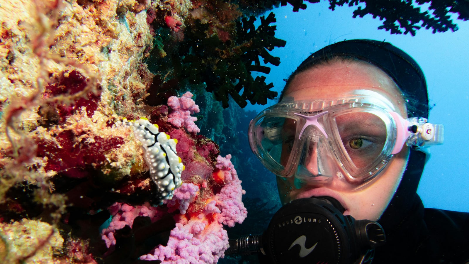 Why do divers fall backwards?