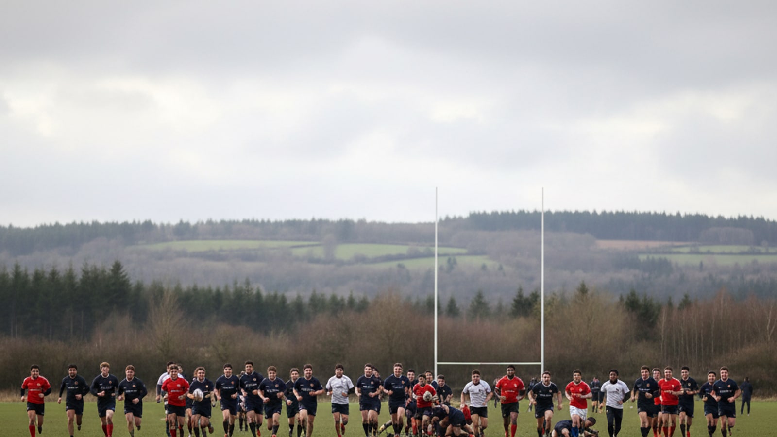 How many players are on a rugby team?