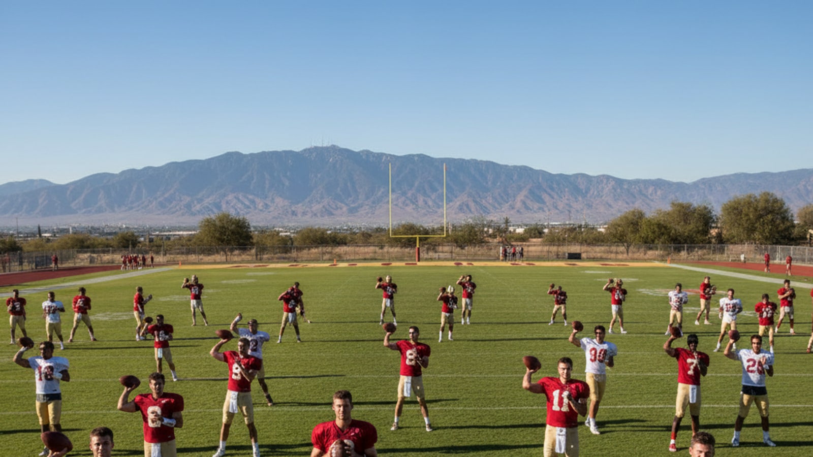 How many quarterbacks do the 49ers have?