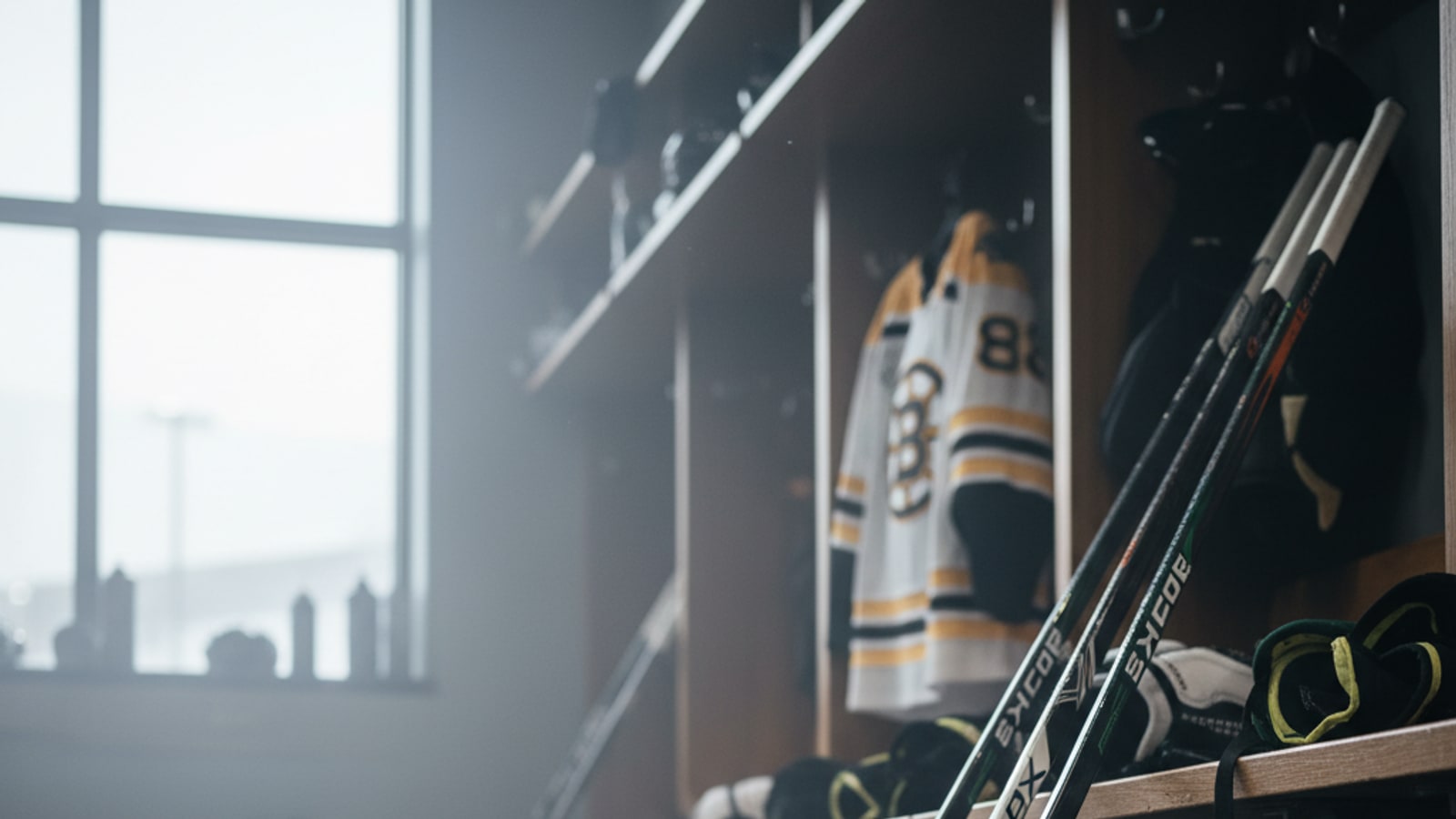 What NHL players use the Warrior Alpha dx?
