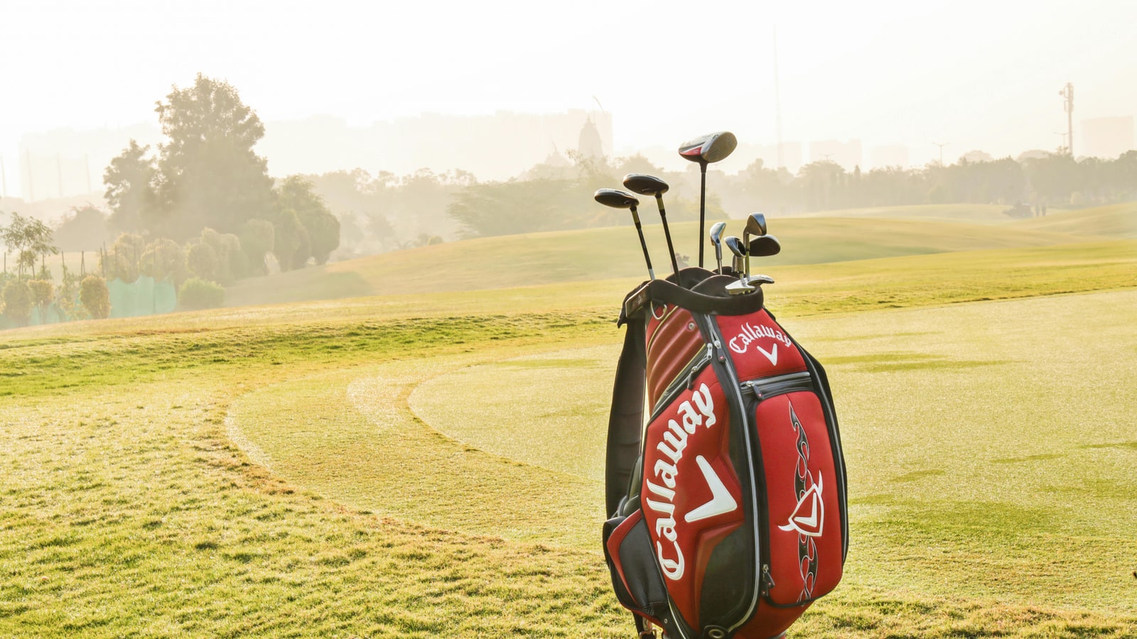 Where can I buy a Callaway golf club?