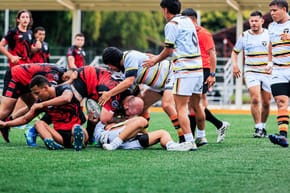 Which Country Plays Rugby the Most?
