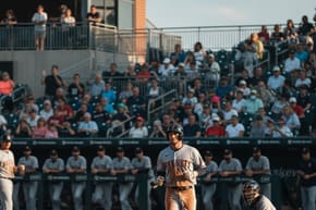What Is the Purpose of a Pinch Hitter?