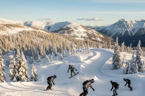 When Did Freestyle Ski Cross Start in Snowboarding?