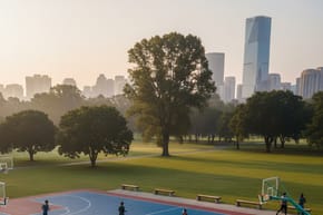 How Big Is a Professional Basketball Court?