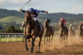 Is It Bad to Whip Your Horse?