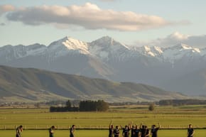 How Many Times Have the All Blacks Beat Australia?