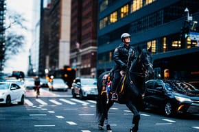 Where Do They Keep the Horses in NYC?