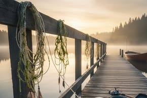 Does Old Fishing Line Go Bad?