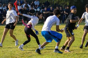Why Should Students Not Play Sports?