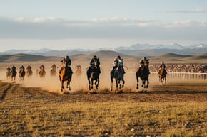 Can You Find the Fastest 3 Horses?