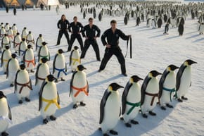 Are There More Dan Belts Than Club Penguins?
