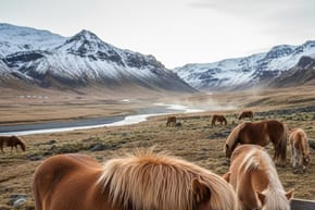 Do Horses Really Need Balancers?