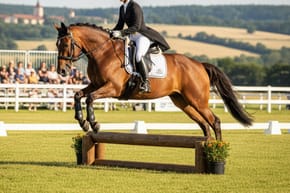 Can You Jump in a Dressage Saddle?