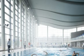 Do Olympic Swimmers Pee in Pools?