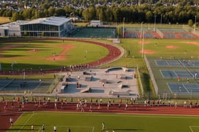 What Percent of Students Are Athletes?