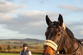 What Are Sheepskin Nosebands Used For?