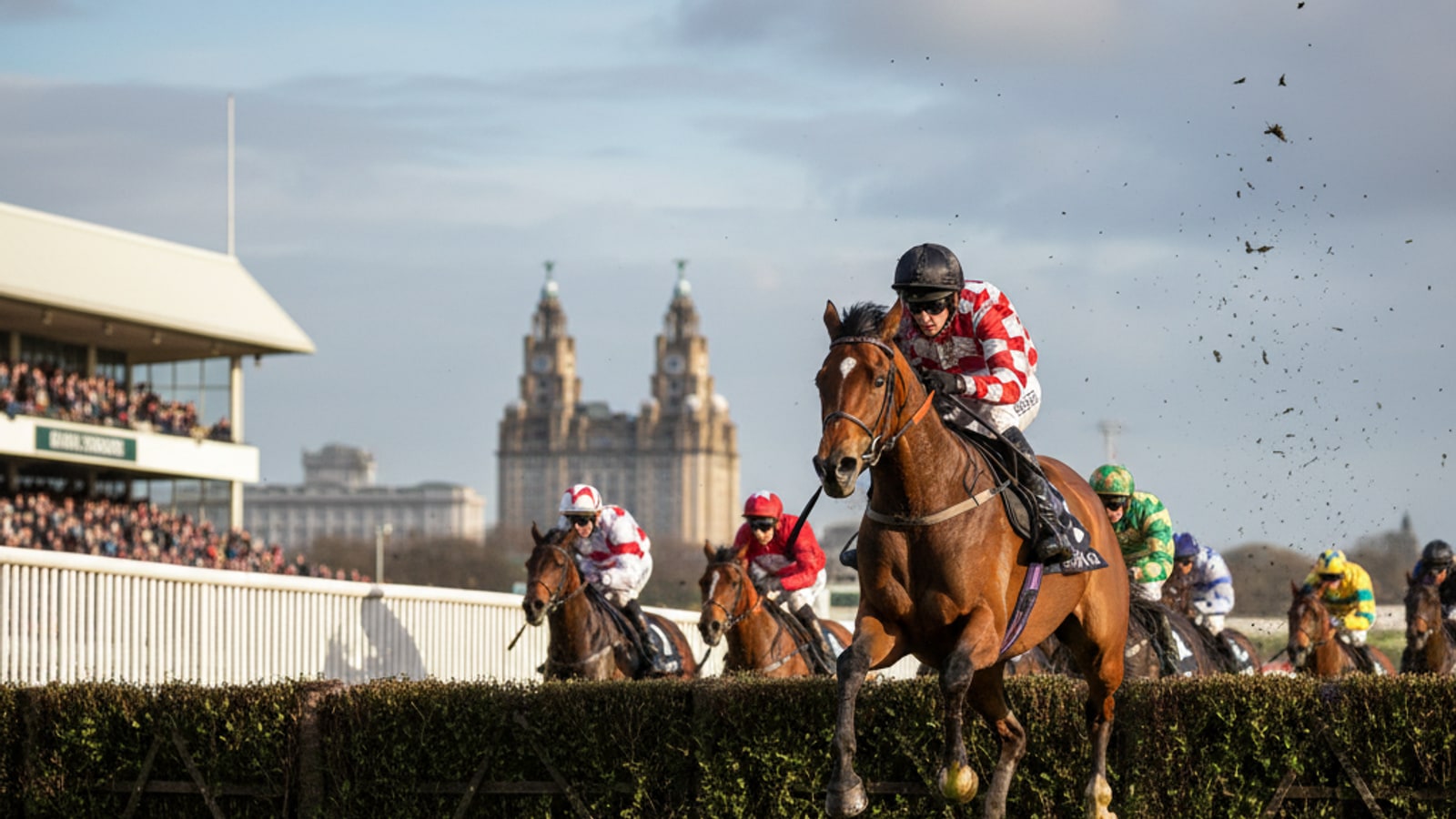 What horse did Tony McCoy win the Grand National on?