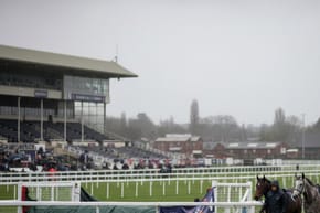 What Happened to All the Horses in the Grand National 2021?